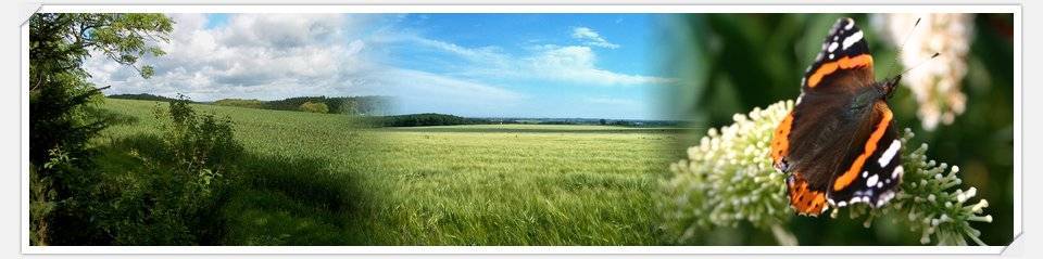 Stenlille